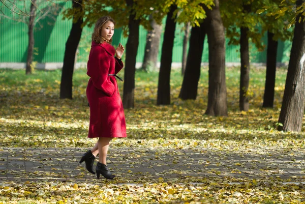 Meisje lopen herfst park — Stockfoto