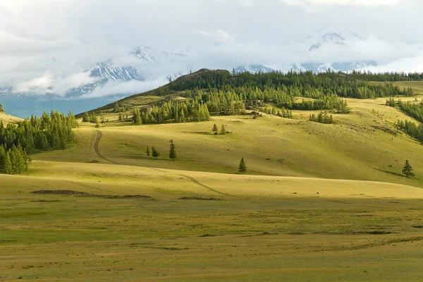 Mountains steppe landscape — Stock Photo, Image