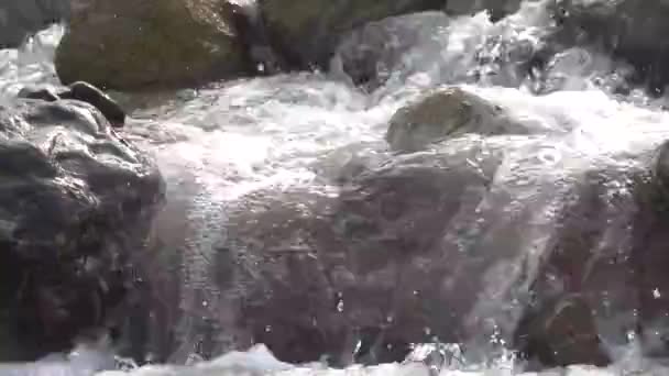 速い流れの中を流れる水は岩に当たり 音で皆の注目を集めます — ストック動画