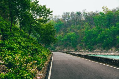 Boş asfalt yol, yemyeşil bir ormanda ağaçlar ve tepeler altında doğal gün ışığı altında sakin manzaralı bir yolculuk manzarası yaratıyor..