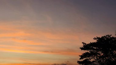 Aşağıdaki ağaçlarla gün batımının güzel manzarası. Çarpıcı turuncu ve mor alacakaranlık gökyüzü. Alacakaranlıkta Doğal Güzellik