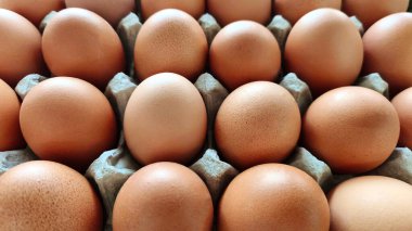 Bir tepside düzgünce paketlenmiş taze tavuk yumurtaları (2)