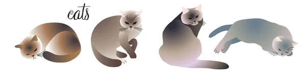 Conjunto Gatos Diferentes Poses Técnica Acuarela Vectorial Cuatro Gatos Están — Vector de stock