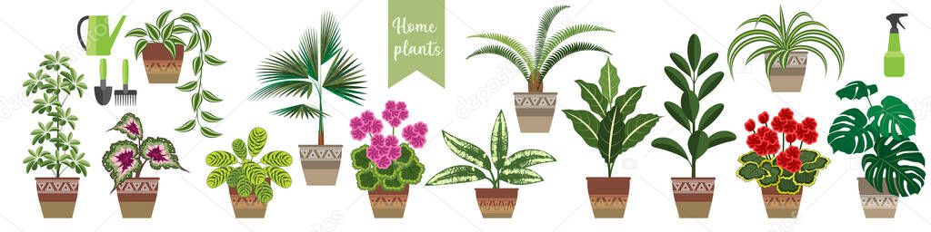 set of popular house plants in a horizontal format. thirteen flowering and ornamental plants and care items. stock vector illustration. EPS 10.