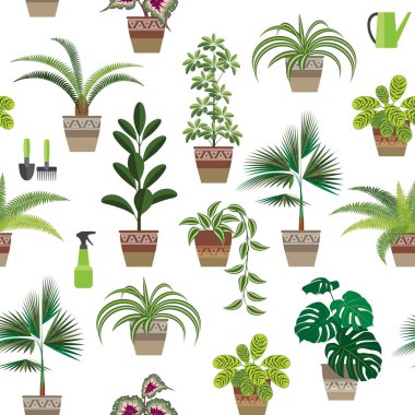 Kapalı alandaki bitkilerin ve bakım malzemelerinin kusursuz deseni. Beyaz arka planda on popüler bitki türü. Düz desen.