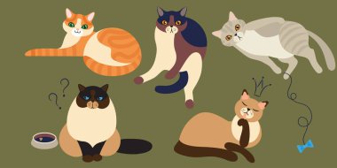 Sevimli ve komik karakteristik kediler. Kedilerin farklı türleri farklı duyguları ifade eder. Çizgi film tarzında düz çizim. Bir evcil hayvanın yaşam tarzı. Stok vektör çizimi. EPS 10.