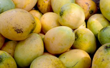Piyasada arka plan olarak taze mango yığını