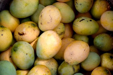 Piyasada arka plan olarak taze mango yığını
