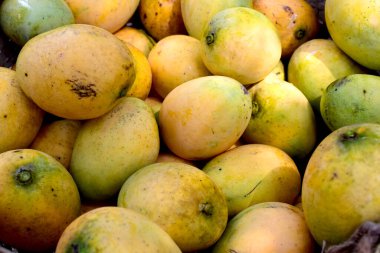 Piyasada arka plan olarak taze mango yığını
