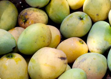 Piyasada arka plan olarak taze mango yığını
