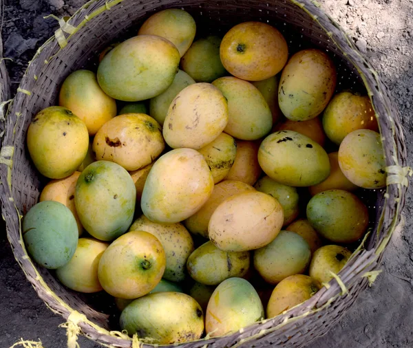 Lezzetli Organik Taze Mango Sepeti — Stok fotoğraf