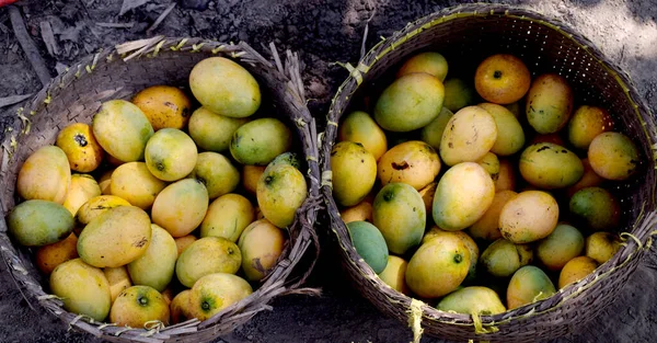 Lezzetli organik taze mango sepeti üzerinde görüntüsü