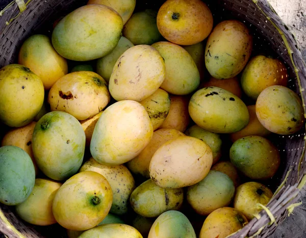 Läcker Ekologisk Färsk Mango Display Korg — Stockfoto