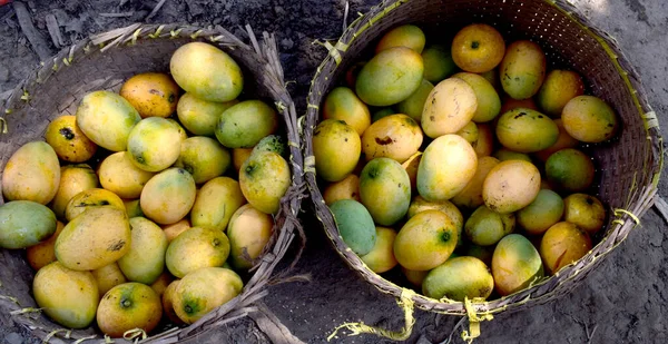 Heerlijke Biologische Verse Mango Display Basket — Stockfoto