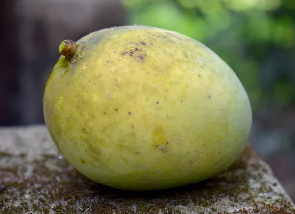 Heerlijke Biologische Verse Mango — Stockfoto