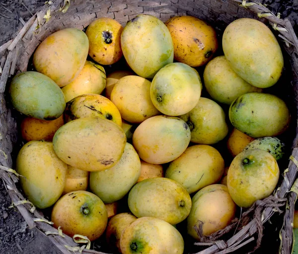 Lezzetli organik taze mango sepeti üzerinde görüntüsü