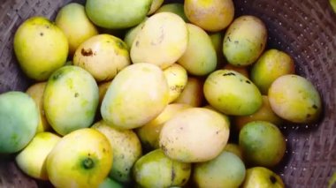 Geleneksel Köy Pazarı 'nda sarı mangoların yakın çekimi.