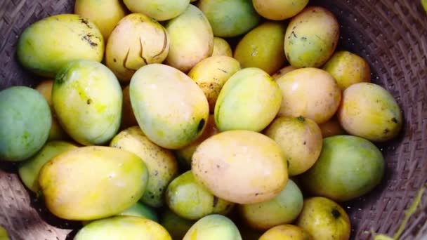 Primer Plano Los Mangos Amarillos Mercado Pueblo Tradicional — Vídeos de Stock
