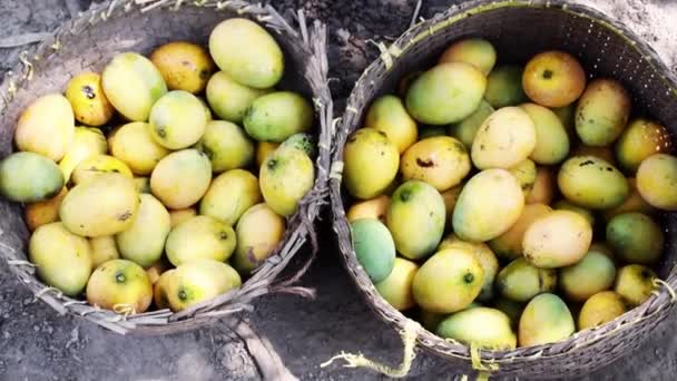 Primer Plano Los Mangos Amarillos Mercado Pueblo Tradicional — Vídeos de Stock