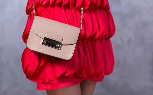 Close up of gorgeous stylish bag — Stock Photo, Image