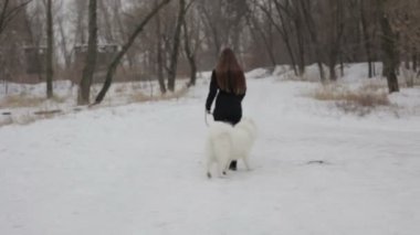 Genç kız ile bir köpek kış parkta oynarken. Yavaş motin