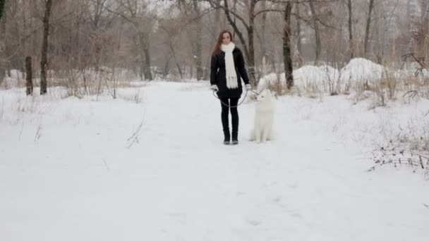 Junges Mädchen beim Spielen mit einem Hund im Winterpark. Langsammotorisierung — Stockvideo