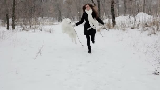 Молодая девушка играет с собакой в зимнем парке. Медленный мотин — стоковое видео
