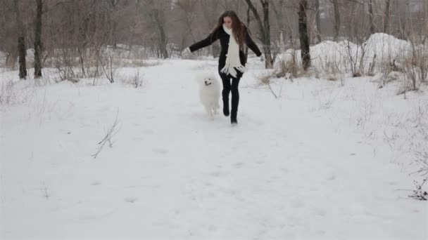 Jong meisje spelen met een hond in winter park. Trage motin — Stockvideo