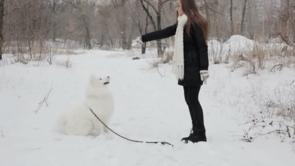 Junges Mädchen beim Spielen mit einem Hund im Winterpark. Langsammotorisierung — Stockvideo