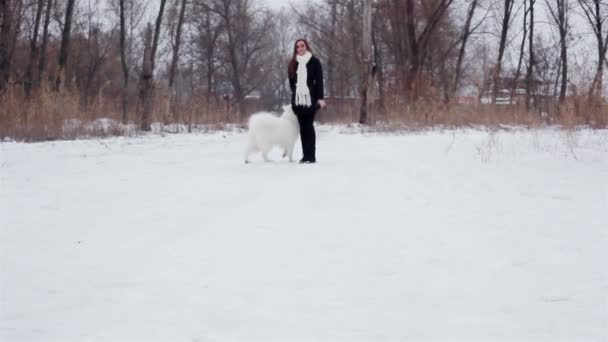 Young girl playing with a dog in winter park. Slow motin — Stock Video