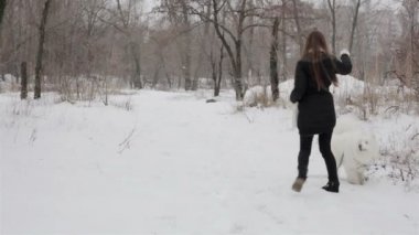 Genç kız ile bir köpek kış parkta oynarken. Yavaş motin