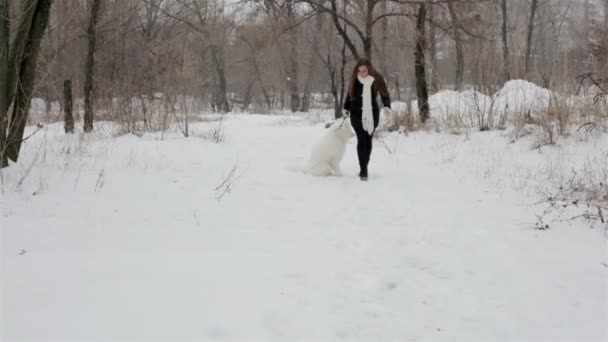 Młoda dziewczyna gra z psem w winter park. Powolne motin — Wideo stockowe