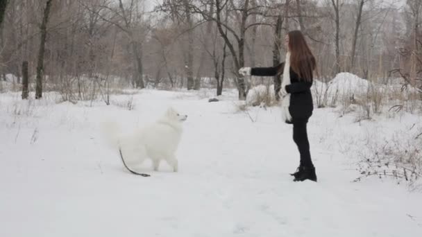 Jovem brincando com um cachorro no parque de inverno. Motim lento — Vídeo de Stock