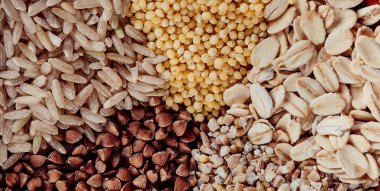 Collection Set of Cereal Grains Millet, Oat, Corn,Rice 