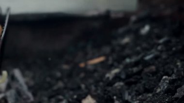 Izgara tavuk. Piknik sırasında ızgara tavuk yakın çekim.