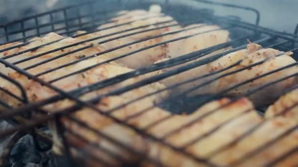 Gegrilde kip op grill. Close-up shot kip gegrild tijdens picknick. — Stockvideo