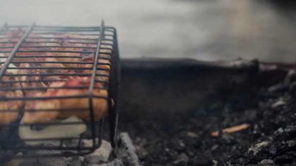 Poulet grillé sur gril. Gros plan du poulet grillé pendant le pique-nique . — Video