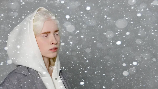 圣诞节 美的概念 美丽的白化病姑娘 有着洁白的皮肤 天然的嘴唇 白发卷曲 穿着时髦的白色毛衣 复制空间 9全景格式 — 图库照片