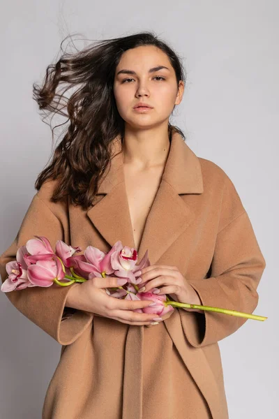 Gri arka planda stüdyoda poz veren kahverengi ceketli baştan çıkarıcı sarışın kadın. Pastel gündelik bahar kıyafetiyle zarif bir modelin moda portresi. Sağlıklı ciltli ve dallı güzel bir kız.