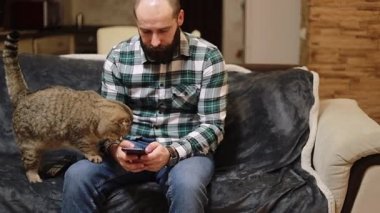 Genç adam akıllı telefon kullanıyor ve rahat bir evde evcil bir kediyle kanepede yatıyor. Süveter giyen gülümseyen bir erkek cep telefonuyla internette sosyal medyada gezinirken oturma odasındaki rahat kanepede dinleniyor..