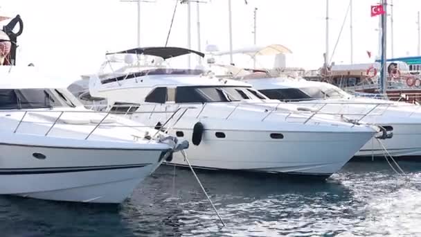 Volo Sulla Baia Marina Con Yacht Diverse Dimensioni Barche Lusso — Video Stock