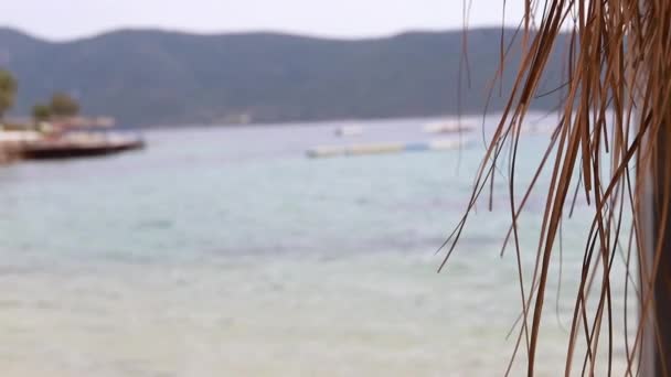 Schöne Kokospalmen Strand Phuket Thailand Palmen Umrahmen Bei Sonnenuntergang Oder — Stockvideo