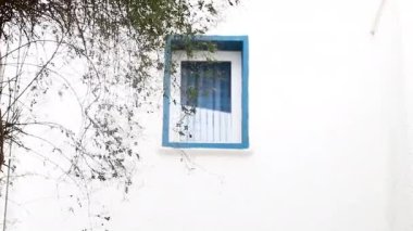 Yunanistan 'ın ünlü Mykonos adasında, Mykonos şehrinin mavi pencereli geleneksel beyaz boyalı evleri ve resimli manzaralı dar caddelerde sabit kameralı bir şekilde yürümek