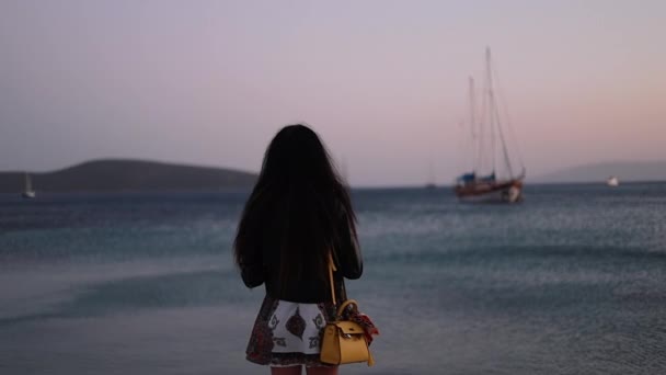 Mooi Meisje Kijken Zonsondergang Zee Staan Buiten Genieten Van Reizen — Stockvideo