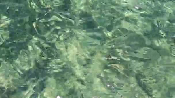 Beautiful Beach Sea Turquoise Water — Stock Video