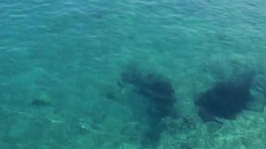 Epirus Yunanistan 'daki Syvota kasabasının Sidikli Mavi Göl Kristal Suları Plaj Adaları Havadan Görünümü