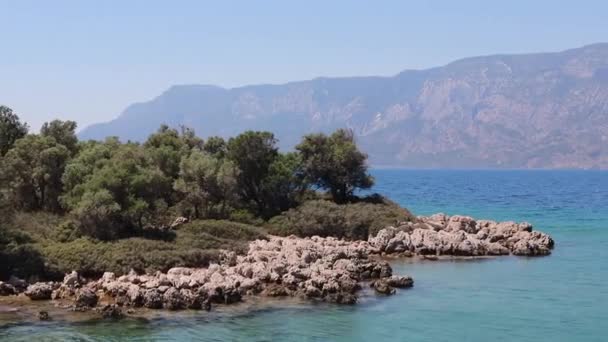 Scenic Aerial Drone Fly Boven Privé Eiland Malediven Tropisch Eiland — Stockvideo