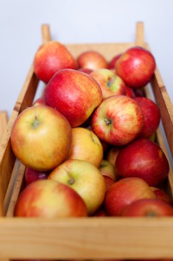 ahşap kutu elma