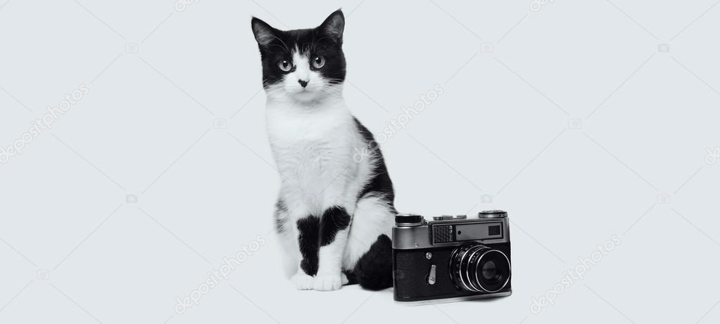 black and white cat with retro camera studio photo monochrome image
