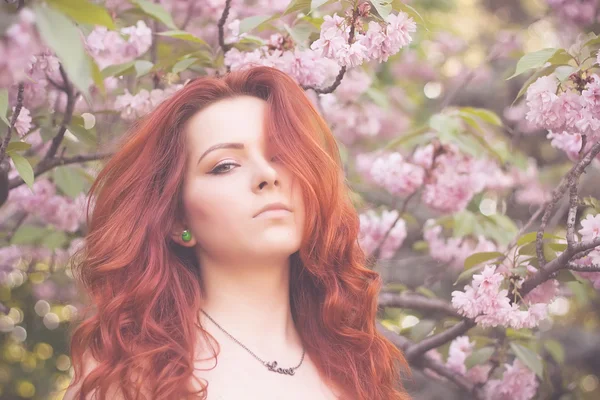 年轻漂亮的红头发女人闻花朵在盛开的樱花园 — 图库照片